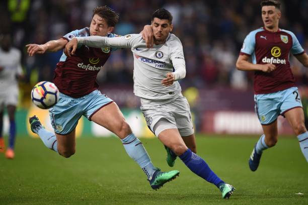 的土拨鼠染 的土拨鼠染